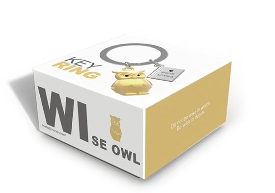 Metalinis raktų pakabukas Nakties Išminčius – pelėda ant knygos, 3D detalės, nerūdijančio plieno žiedas, įkvėpianti frazė.