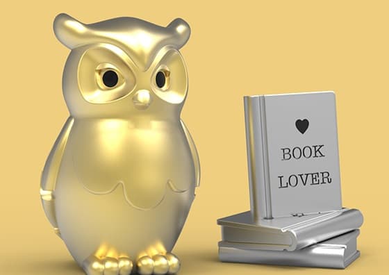 Metalinis raktų pakabukas Nakties Išminčius – pelėda ant knygos, 3D detalės, nerūdijančio plieno žiedas, įkvėpianti frazė.