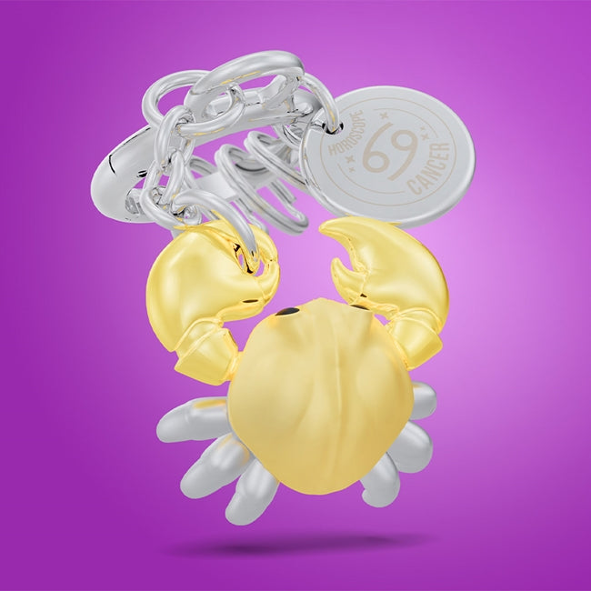 Metalmorphose.lt metalinis raktų pakabukas VĖŽYS. 3D auksinio vėžio formos miniatiūra, vandens ženklo simbolika, premium cinko lydinys, nerūdijančio plieno žiedas. Pakabukas iš ZODIAKŲ PASAULIS kolekcijos.